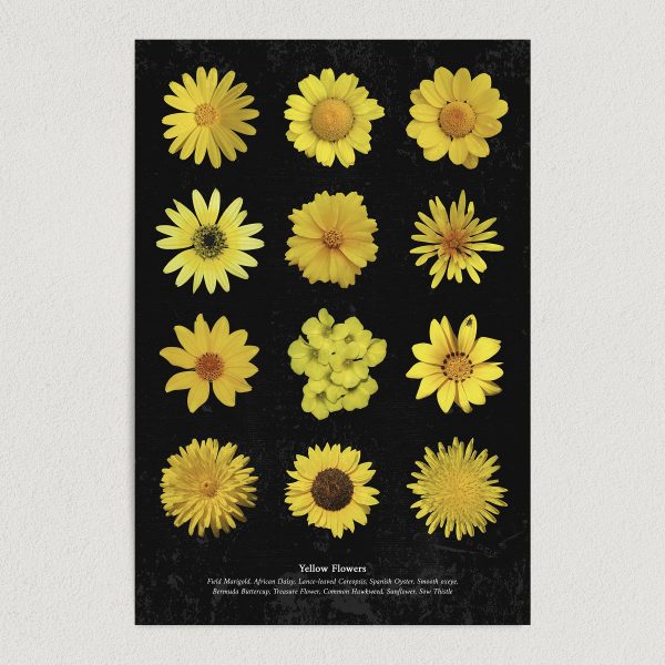 Yellow Flowers Art Print Poster 12" x 18" Wall Art GC3001