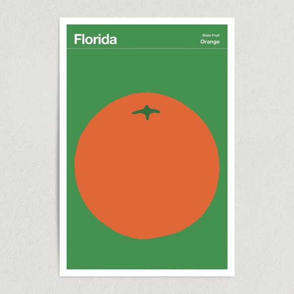Florida State Fruit Orange Illustration Art Print Poster 12" x 18" Wall Art T2134
